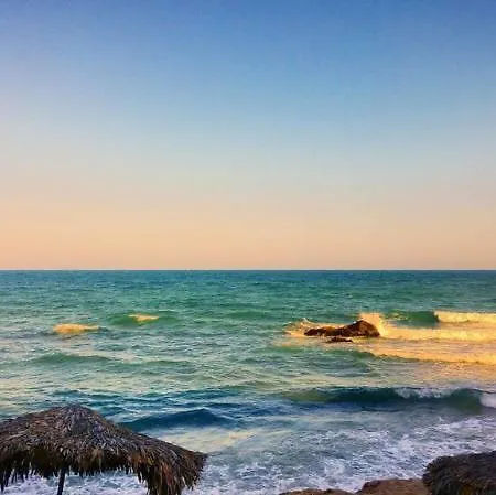 Отель International House Of Journalists Золотые Пески