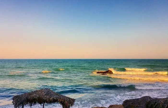 Szálloda International House Of Journalists Aranyhomok