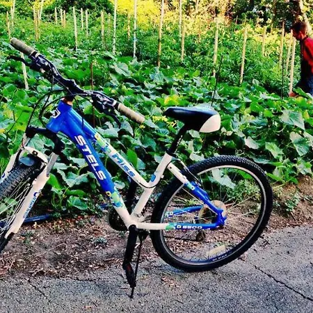 International House Of Journalists Hotel Złote Piaski