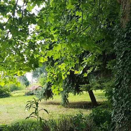 International House Of Journalists Hotel Złote Piaski