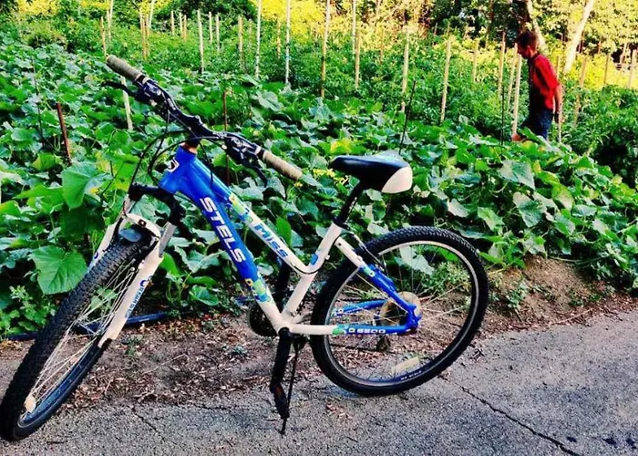 International House Of Journalists Hotel Goldstrand